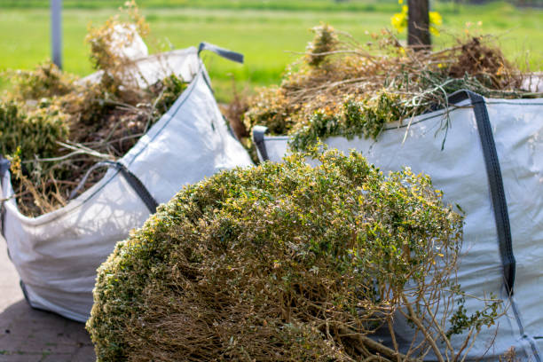 Best Household Junk Removal  in Springfield, TN